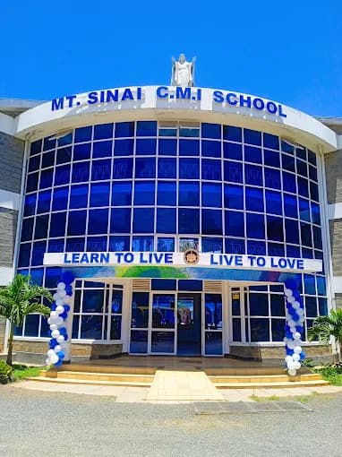 Mount Sinai CMI School